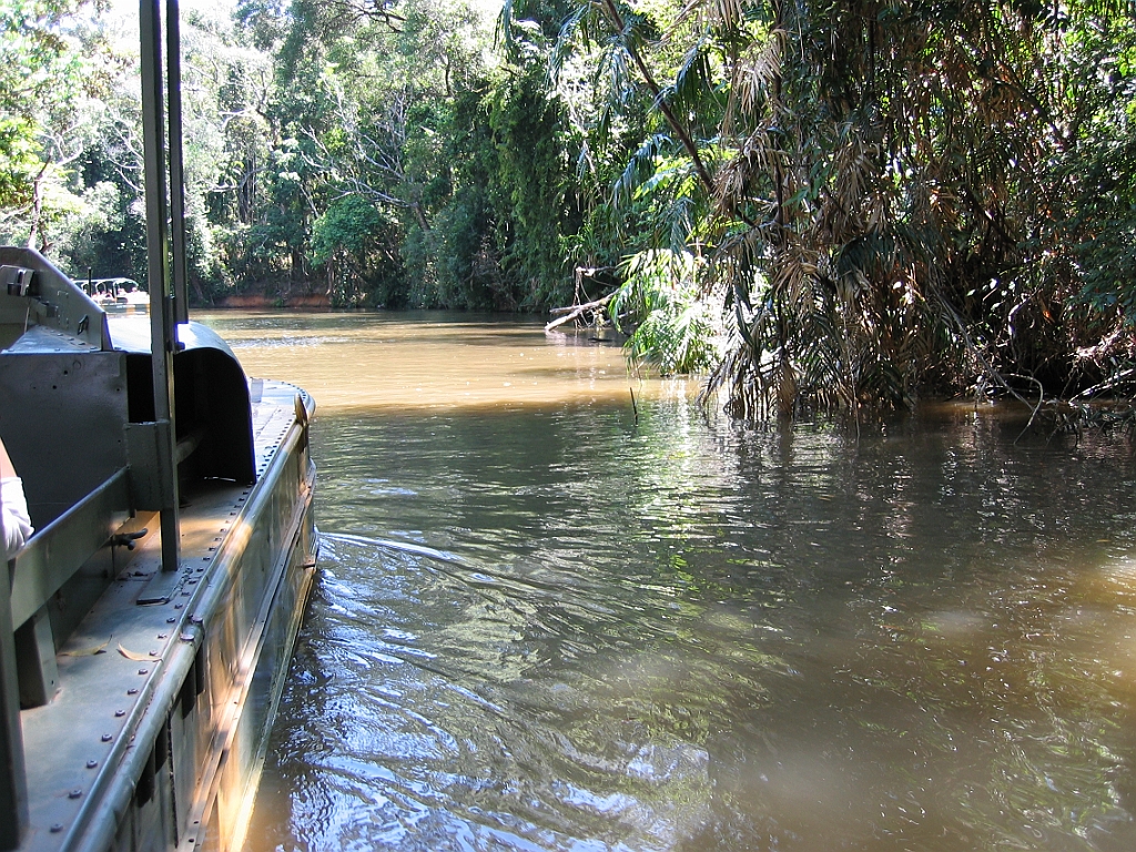 193 Rainforestation.jpg